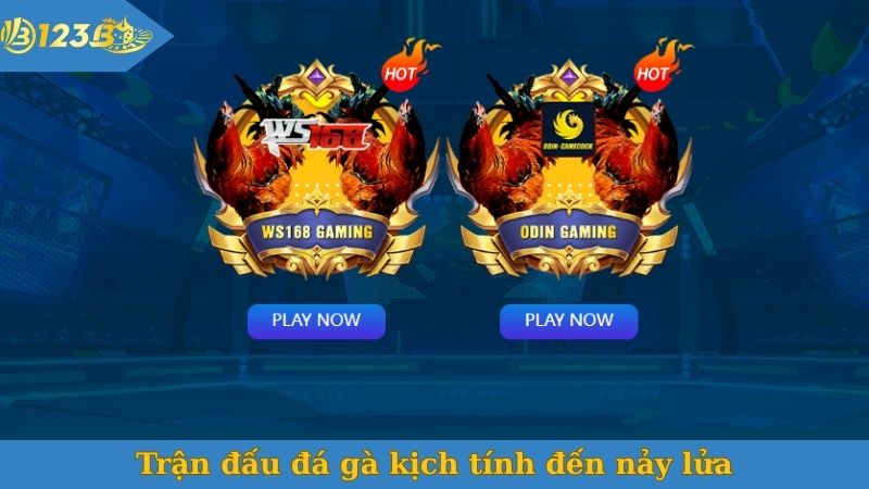 Trận đấu đá gà kịch tính đến nảy lửa