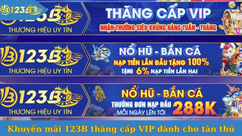 Khuyến mãi 123B thăng cấp VIP dành cho tân thủ